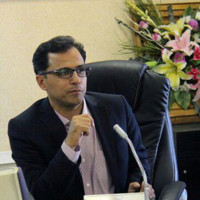 Mojtaba Mohammadi Email & Phone Number