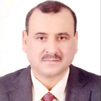 Elsayed Ghonim Email