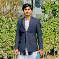 Nextxsol Employee Bhutta King1's profile photo