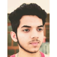 Statrys Employee Ritik Vashistha's profile photo