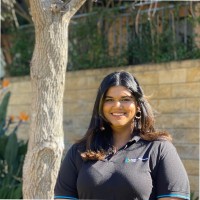 d'Albora Employee Swetha Ravichandran's profile photo