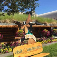 Sue Jeansonne Email & Phone Number