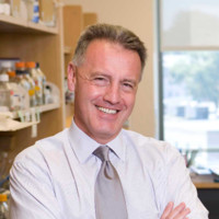 The Wistar Institute Employee Dario Altieri's profile photo