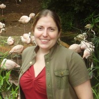DSV - Global Transport and Logistics Employee S Thomas's profile photo