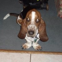 VOSS Automotive Inc. Employee Michael Purdy's profile photo