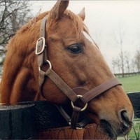 Tennessee Emergency Communications Districts Employee Mike Mahn's profile photo