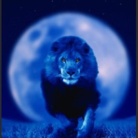 AudienceScience Employee Michael Senkovich's profile photo