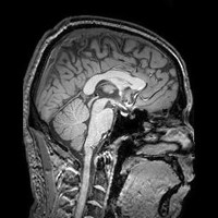 Intuit Employee Xin Chen's profile photo