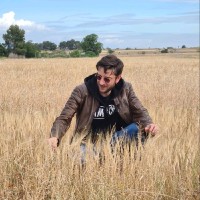 EEAD-CSIC Employee Adrián Pérez's profile photo