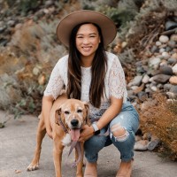 Jia Lu Email & Phone Number