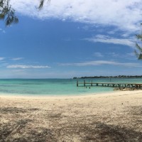 US Congress Employee Shirley Pond's profile photo