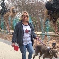 Wadley Regional Medical Center Employee Catherine Curley's profile photo