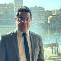 Walid Mostafa Email