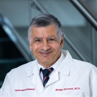 Serge Sicouri Email & Phone Number