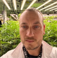 Berkeley Patients Group Employee Michael Noe's profile photo