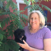 Sue Davy Email & Phone Number