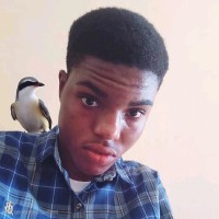 Michael Effiong's profile photo