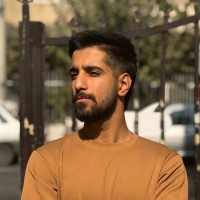 Morteza Hasanpour Email