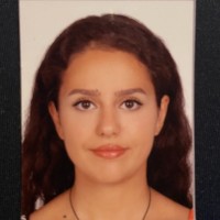 Tinbergen Institute Employee Gencay Başıbüyük's profile photo