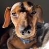 EverKept Construction Employee Curtis Board's profile photo