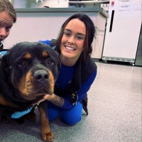 IndyVet Emergency and Specialty Hospital Employee Kristen Mills's profile photo