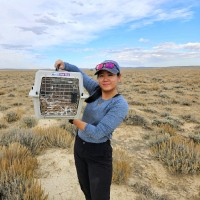 Lea Lehmann Email