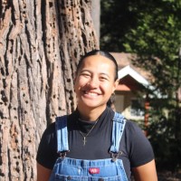 Nisi Tuitupou