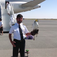 Top Clouds Advisory Employee Mohamed Ahmed's profile photo