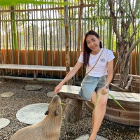 DreamWorld Employee Pichayathida Phodee's profile photo