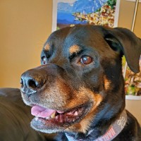 Compass Group Employee Christine Delcambre's profile photo