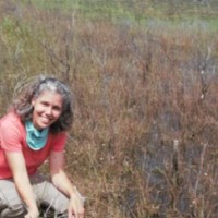 South Florida Engineering and Consulting LLC Employee Ellen Ashford's profile photo