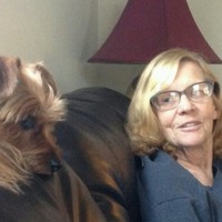 Marriage Employee Karin Butler's profile photo