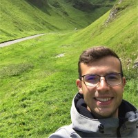 Manuel Ianus Email