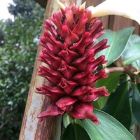 Yusri Sidek's profile photo