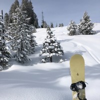 Travis Mock Email & Phone Number