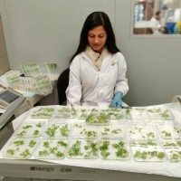 E-mail de Anamika Rawat