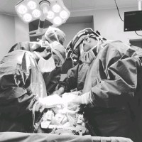 The Mission Hospital Employee Rahul Bose's profile photo