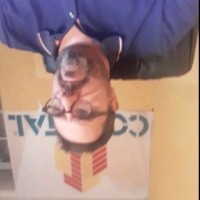 Cometal NV Employee Bruno Sani's profile photo
