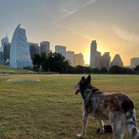 Simple Payback LLC Employee Chance Robinson's profile photo