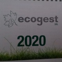 Ecogest Employee Valerio Carli's profile photo
