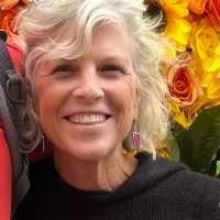 Terry Whitaker Email & Phone Number