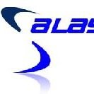 Allen Passi