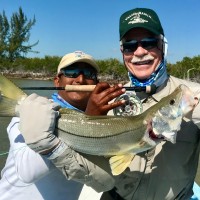 Robert Bingham Email & Phone Number