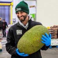 John Vena Inc. Specialty Produce Employee Christopher Scaricaciottoli's profile photo