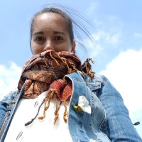 GRC Solutions Employee Marika Samarati's profile photo