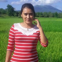 Zin Htet Email