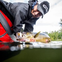 DICK'S Sporting Goods Employee Lee Jackson's profile photo