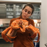 Martha Stewart Living Omnimedia Employee Lauryn Tyrell's profile photo