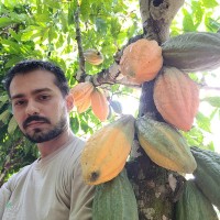 Universidade Federal do Pará Employee Daniel Braga's profile photo