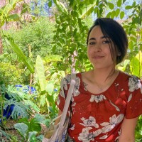 Idealist.org Employee Jaxx Artz's profile photo